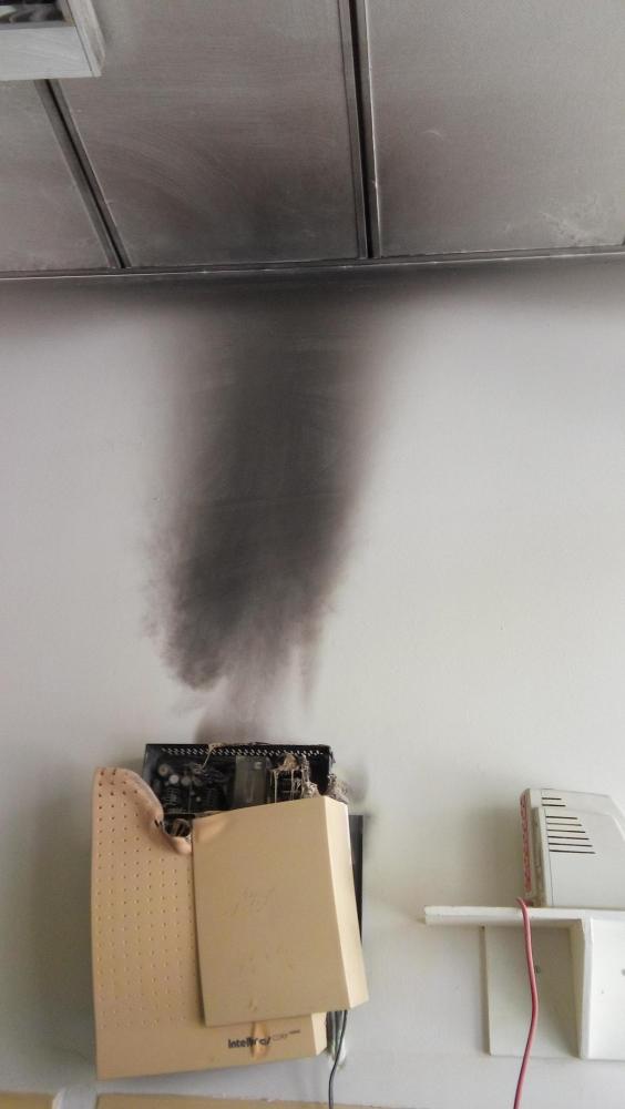 20160311_100606.thumb.jpg.5556a46c1d2ac0