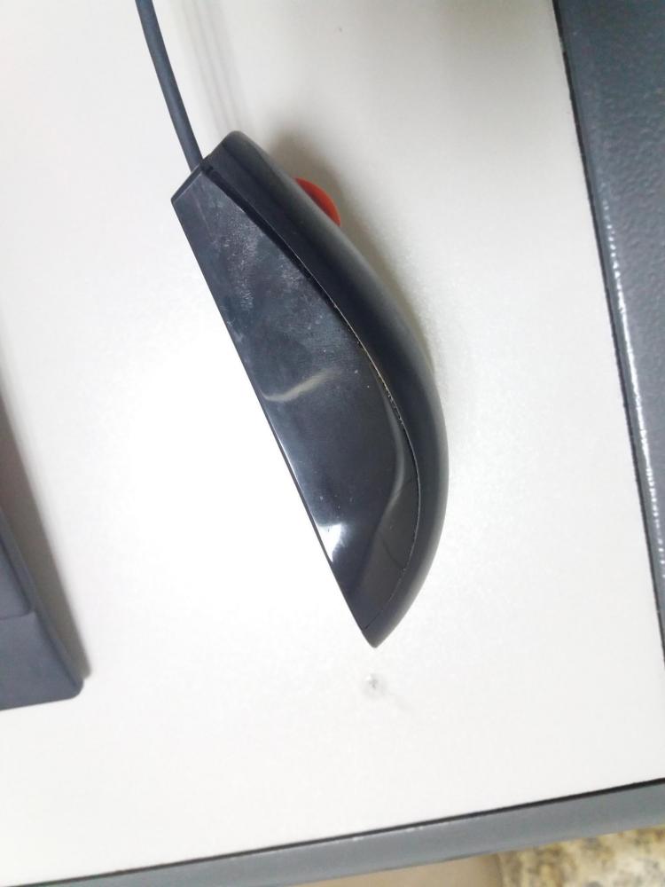 20180417_084144.jpg