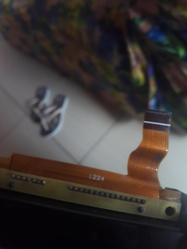 20200925_155956.jpg