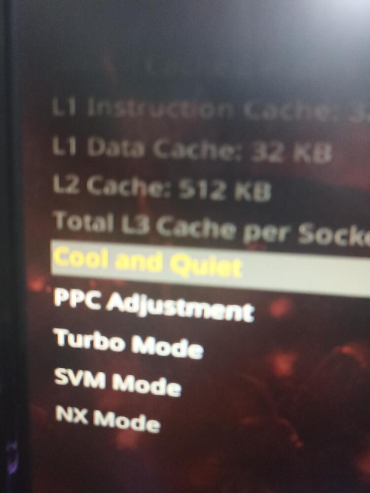 16892127029673522257219064443978.jpg