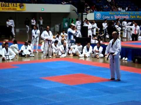 World Taekwondo Hanmadang 2008