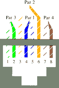 Redes Locais: Placas e Cabos