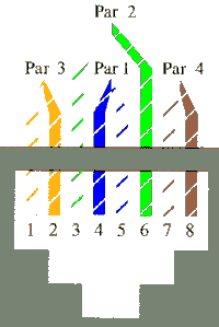Redes Locais: Placas e Cabos