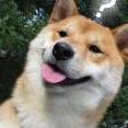 Internet Meme