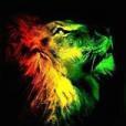 Marlyn Roots