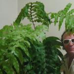 junior costadagua