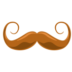 Estache