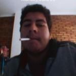 paulofreitas.py