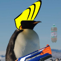 Pinguim russo
