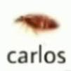 CarlosOLegal