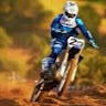 Guilherme F B