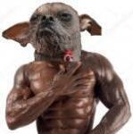 blackdogg