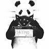 ezfinge