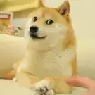 Rieidi