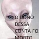 dnaielmello