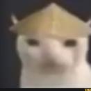 Lucasmmvava
