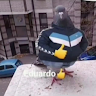 romulo_122