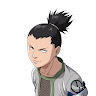 xshikamaruu