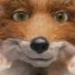 mr_redfox