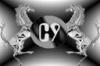 cyber9