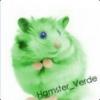 HamsterVerde