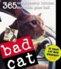 BaDCaT