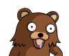 Amigo Urso